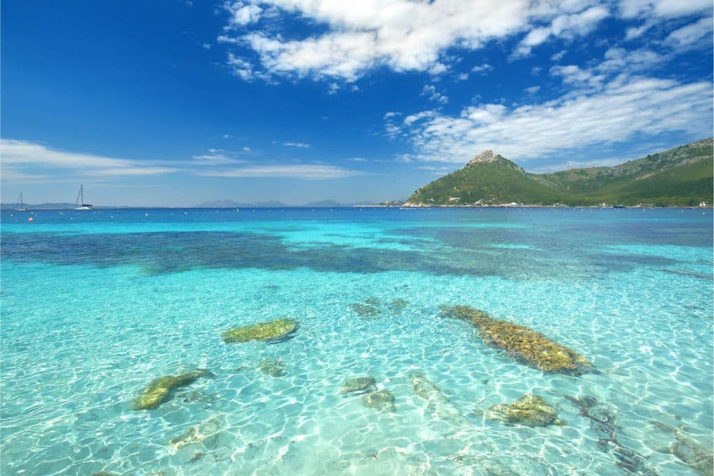 Diseño sin título (68) svg+xml;charset=utf