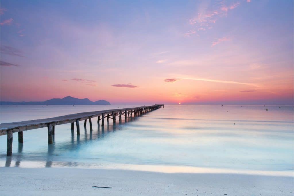 Diseño sin título (69) svg+xml;charset=utf